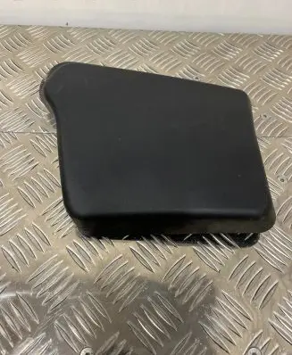 Rear/tail light trim molding
