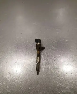 Renault Laguna III Fuel injector 8200380253 H8200294788