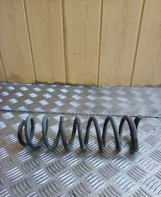 Rear coil spring