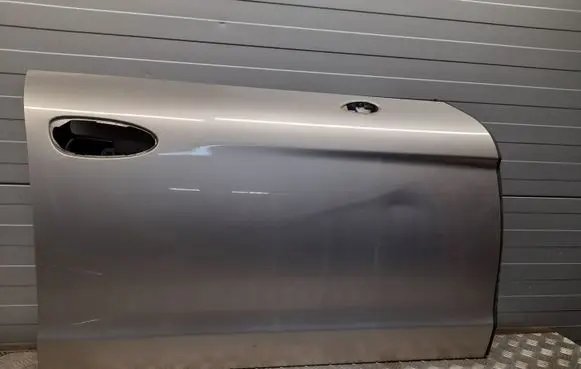 Porsche Panamera (970) Front door 97053152201