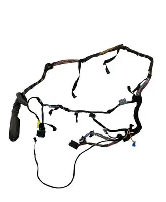 Front door wiring loom