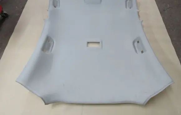 Opel Insignia A Headlining 22909486