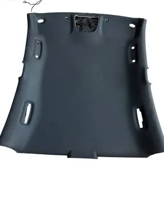 Dodge Charger Headlining 5PL95DX9AF 6041110 60044685