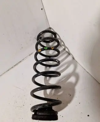 Rear coil spring