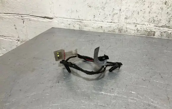 BMW 3 E92 E93 Front door handle light (exterior) 7163512 14010710