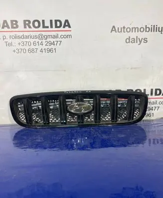 Hyundai Terracan Front grill 86251H1030