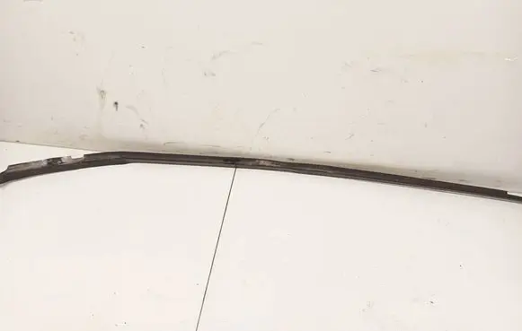 Volkswagen PASSAT B5 Front door glass trim molding 