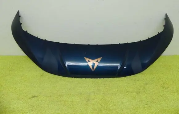 Cupra Born Front bumper lip 10E806333