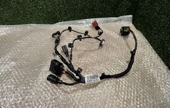 Man TGE 1gen Other wiring loom 7C0971819 11102019 7C0819307