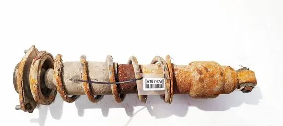 Rear shock absorber/damper