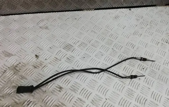 Peugeot 308 Exhaust gas temperature sensor 9807562780