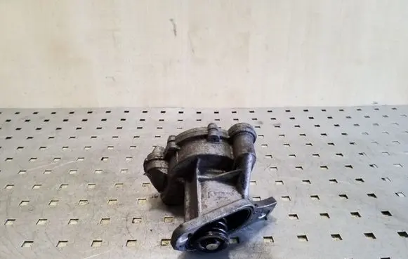 Volkswagen Crafter Vacuum pump 074145100A