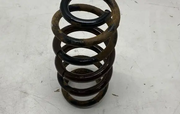 Rear coil spring