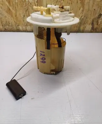 Citroen C5 In-tank fuel pump 
