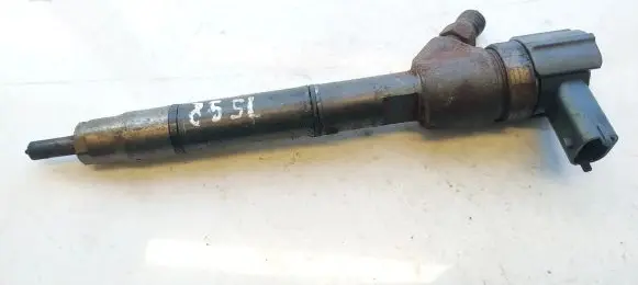 Hyundai i30 Fuel injector 0445110320 33800-2a900