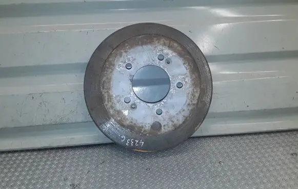 Hyundai Santa Fe Rear brake disc 