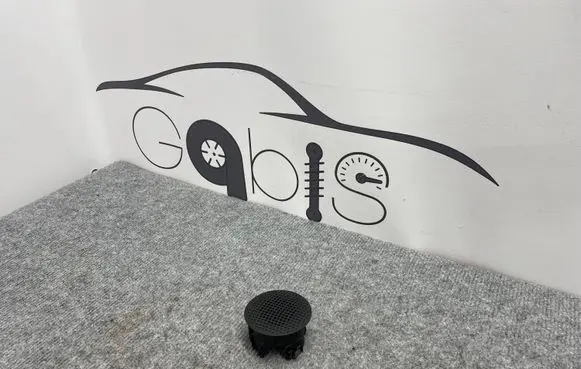 Panel speaker