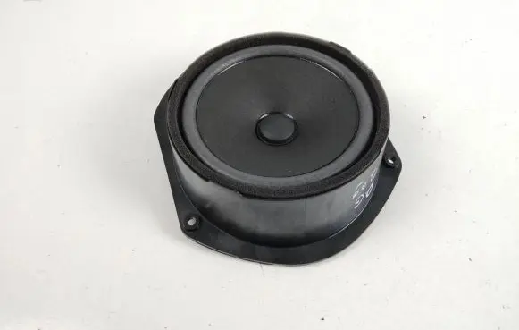 Tesla Model S Rear door speaker 156570600B