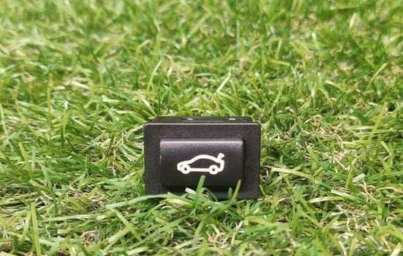 Tailgate opening switch