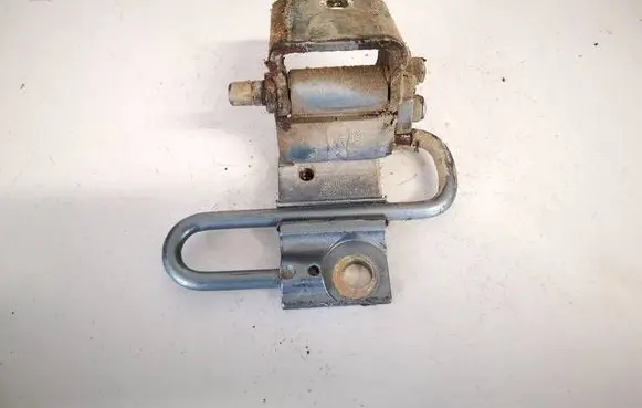 Rear door lower hinge