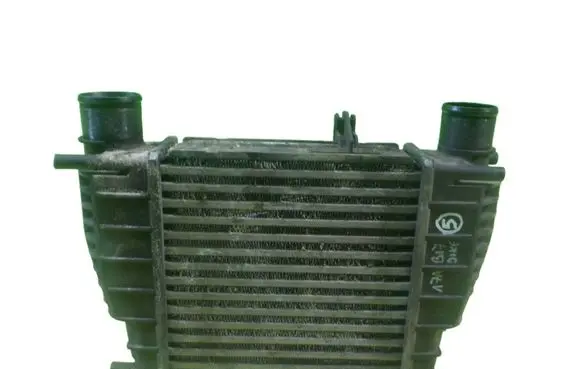 Nissan Juke I F15 Intercooler radiator 14461EM00A 17AB17