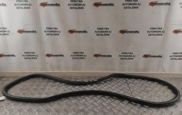Seat Ibiza IV (6J,6P) Front door rubber seal 6J4867365