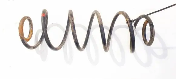 Rear coil spring