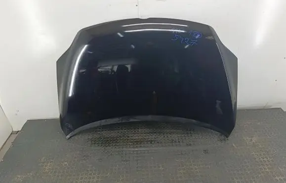 Volkswagen Golf Plus Engine bonnet/hood 
