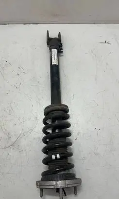 Mercedes-Benz SL R231 Front shock absorber with coil spring A2313206513