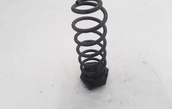 Renault Scenic III - Grand scenic III Rear coil spring 550200035R