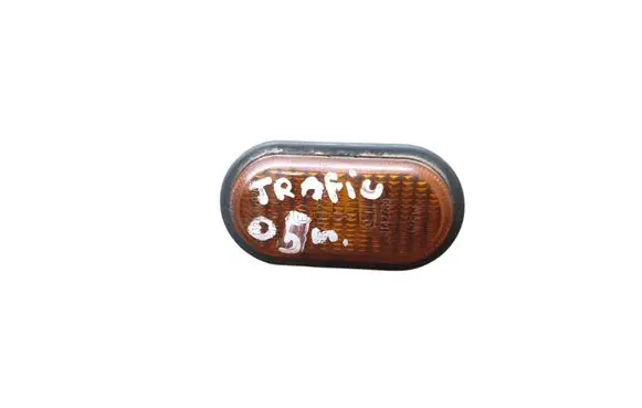 Front fender indicator light
