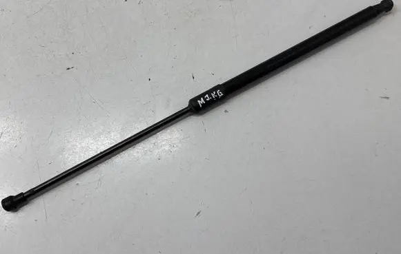 Tailgate/trunk strut/damper