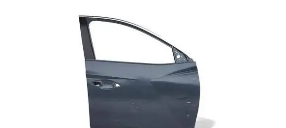 Hyundai Tucson IV NX4 Front door 