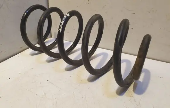 Rear coil spring