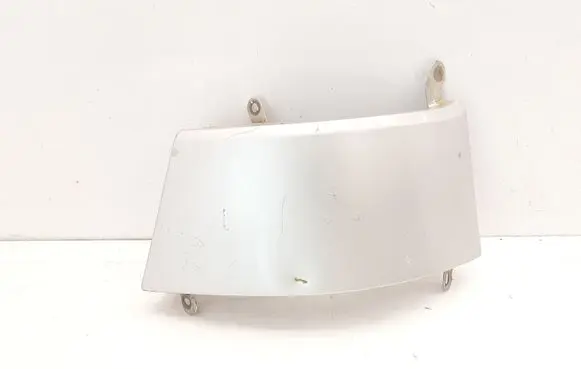 Rear/tail light trim molding