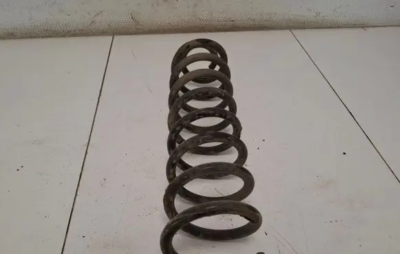 Rear coil spring