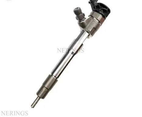 Renault Koleos II Fuel injector 0445110939