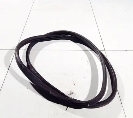 Renault Megane III Rubber seal front coupe door 