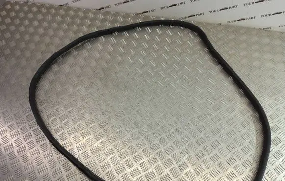 BMW X1 F48 F49 Rear door rubber seal (on body) 7349665