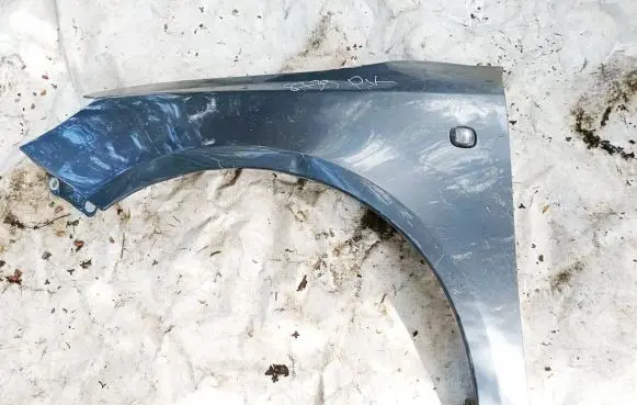 Skoda Fabia Mk2 (5J) Fender Pilka