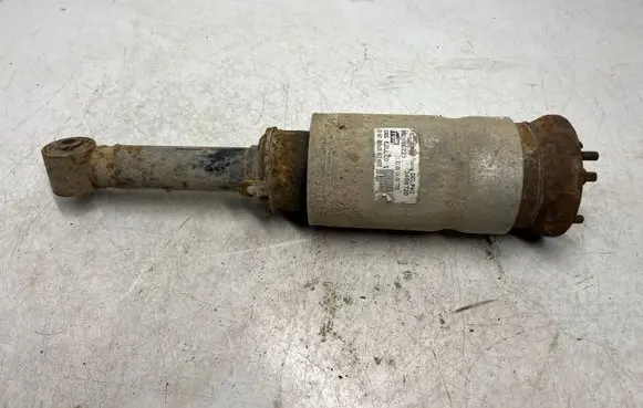Land Rover Range Rover Sport L320 Air suspension front shock absorber 3498720
