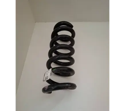 Ford Mustang Mach-E Rear coil spring LK9C5560ENC