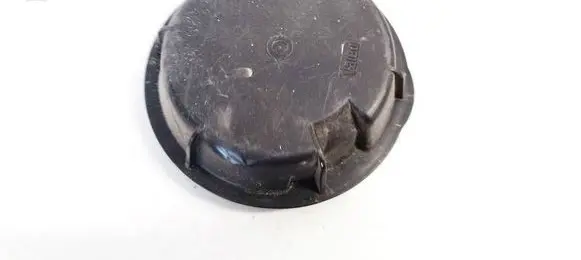 Renault Laguna III Headlight/headlamp dust cover 88204985