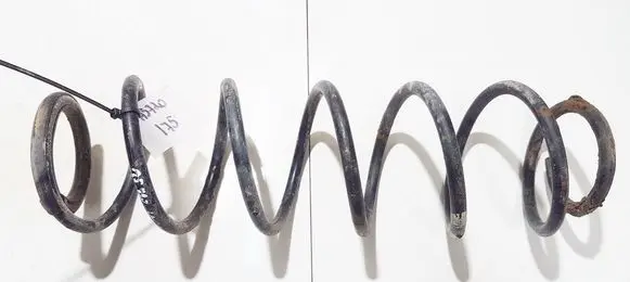 Renault Laguna II Rear coil spring