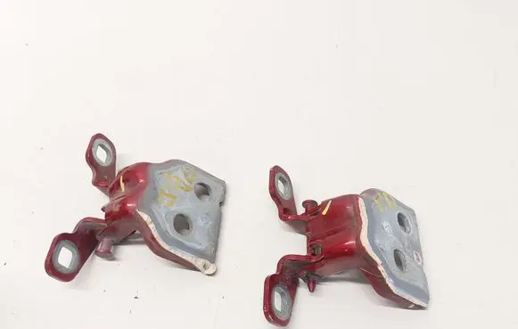 Dacia Sandero III Front door hinge set 