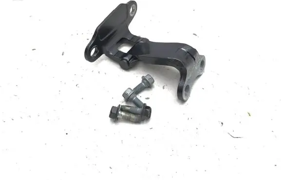 Lexus LBX Front door lower hinge 