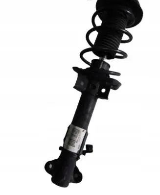 Mercedes-Benz C W204 Front shock absorber with coil spring A2043200413