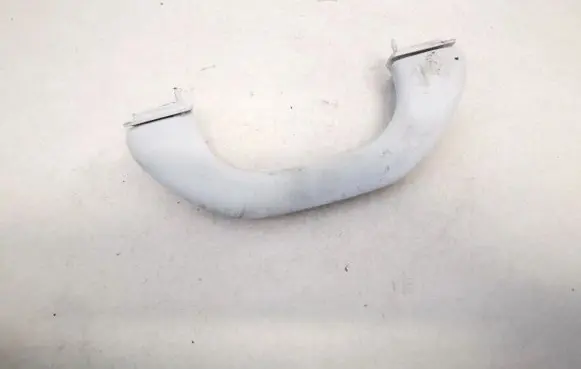Front interior roof grab handle