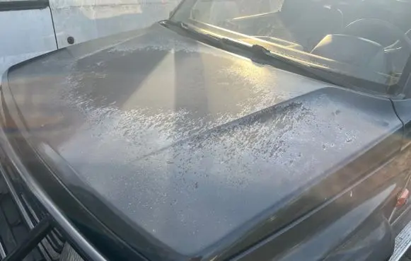 Suzuki Vitara (ET/TA) Engine bonnet/hood