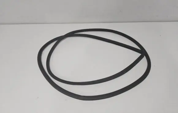 Ford Mustang Mach-E Rubber seal front door (on door) LJ8BR20530A